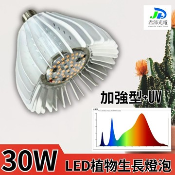 【君沛】UV加強型光譜 30W極強光壓 植物燈泡 E27 誘導顯色 抑制徒長 多肉上色 龍舌蘭 塊根控型