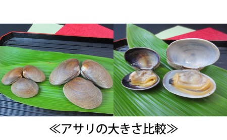 北海道厚岸産　特大あさり（砂出し済み）ムキ牡蠣（生食用）セット