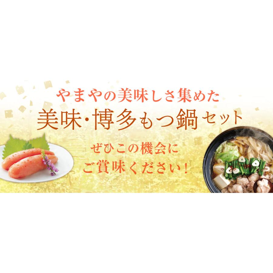 美味・博多もつ鍋セット〈あごだし醤油〉(お中元 贈り物 贈答用 ギフト 帰省 土産 お取り寄せ グルメ 九州 福岡 博多)