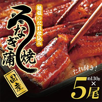 ふるさと納税 泉佐野市 国産うなぎ 約130g×5尾 秘伝のたれ 蒲焼 鰻 ウナギ 無頭 炭火焼き 備長炭099H875