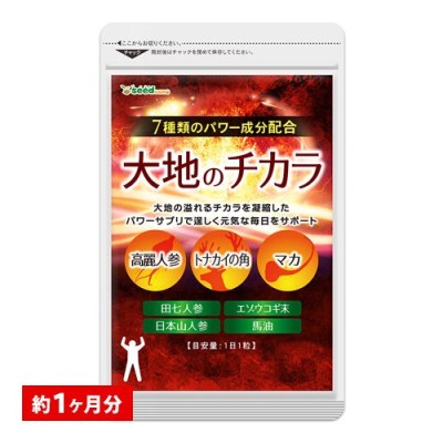 高麗人参 一和高麗人参濃縮液 エキス 100g 1本 最高ジンセノサイド