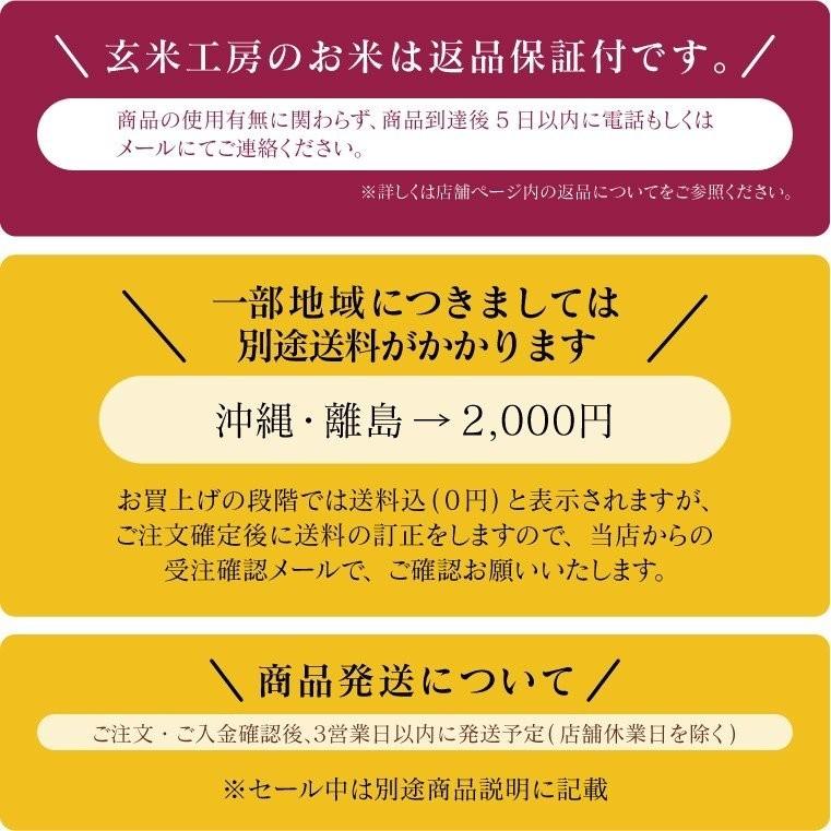 新米 令和５年 お米 5kg  Iwaki Laiki コシヒカリ 無洗米 福島県産 送料無料 精米  米