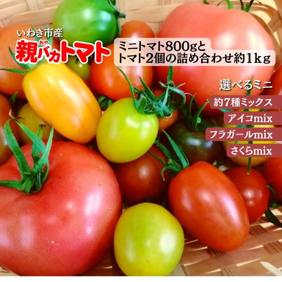 [予約 5以降お届け]親バカトマト2個とミニトマト800gの詰め合わせ 約1kg  選べるミニ  いわき市産 助川農園 農園直送 ギフト