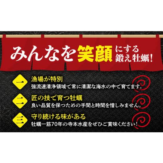 ふるさと納税 広島県 江田島市 他の牡蠣とは味がちがう！広島産 大粒 牡蠣 鍛え牡蠣 むき身 Lサイズ（冷凍）計3kg 牡蠣 広島 かき むき身 料理 簡単 江田島市…