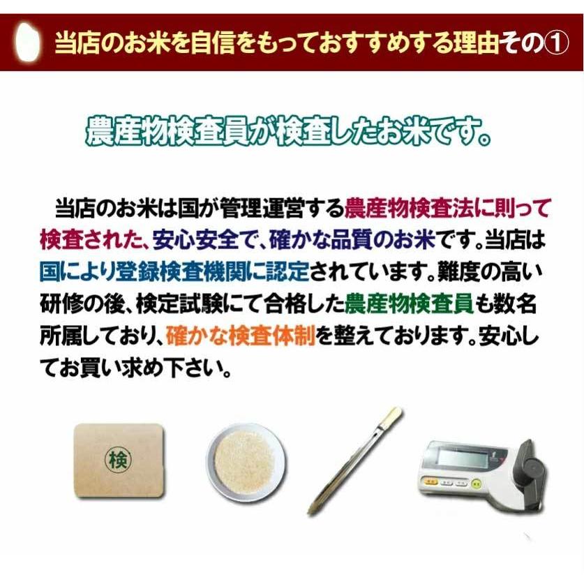 送料無料　令和5年産 新米 千葉県産ふさこがね 玄米30kg (10kg×3袋) 精米無料