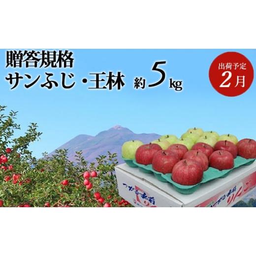 ふるさと納税 青森県 弘前市 2月発送 贈答用 サンふじ・王林 約5kg 