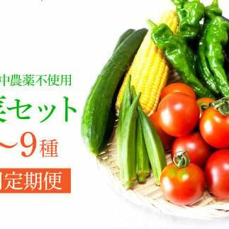 野菜セット（7‐9種類） 《3カ月定期便》 栽培期間中農薬不使用！ 季節の野菜 定期コース 定期 無農薬 野菜 やさい 新鮮 自然 健康 セット 詰め合わせ 冷蔵 美味しい おいしい 食べ物 食材 秋