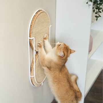 換換貓抓板 Locus