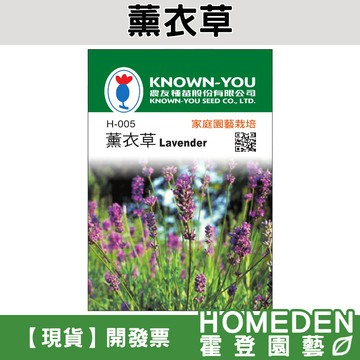 【隔日到貨】薰衣草 H-005 香草種子 農友牌 小包裝種子 約50粒/包【HOMEDEN霍登園藝】