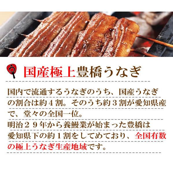 うなぎ 鰻 ギフト プレゼント 極上豊橋うなぎ＆白老辛口純米酒＆おつまみセット :送料無料