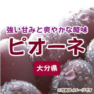 大分県産ピオーネ   250gが４パック