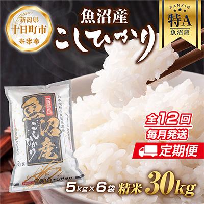 ふるさと納税 十日町市 魚沼産 コシヒカリ 5kg ×6袋 計30kg (お米の炊き方ガイド付) 全12回