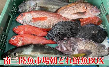 南三陸朝どれ鮮魚BOXプレミアム