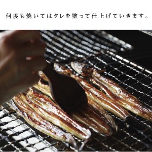 山銀商店 かば焼き あなご (合計約300g)