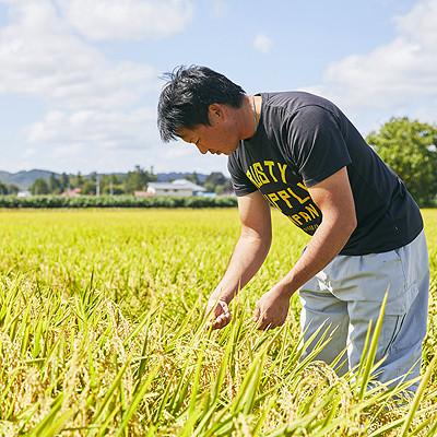 ふるさと納税 川西町 令和5年産　特別栽培米　つや姫　玄米　10kg