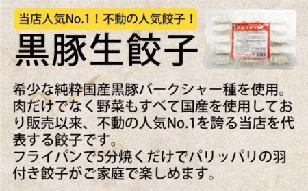  八代市東陽町の生姜を使った 餃子の王国 人気生餃子126個 ぎょうざ ギョウザ