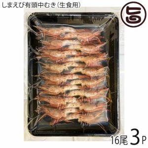 千葉喜商店 生食用 しまえび有頭中むき 180g 16尾×3P