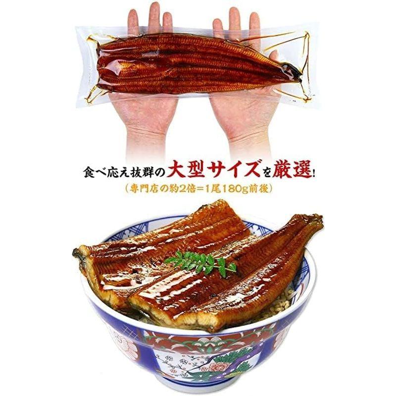 国産うなぎ蒲焼き（無頭 背開き真空包装）180g前後 蒲焼きのタレ＆山椒、食べ方の説明書付き化粧箱入り ギフト