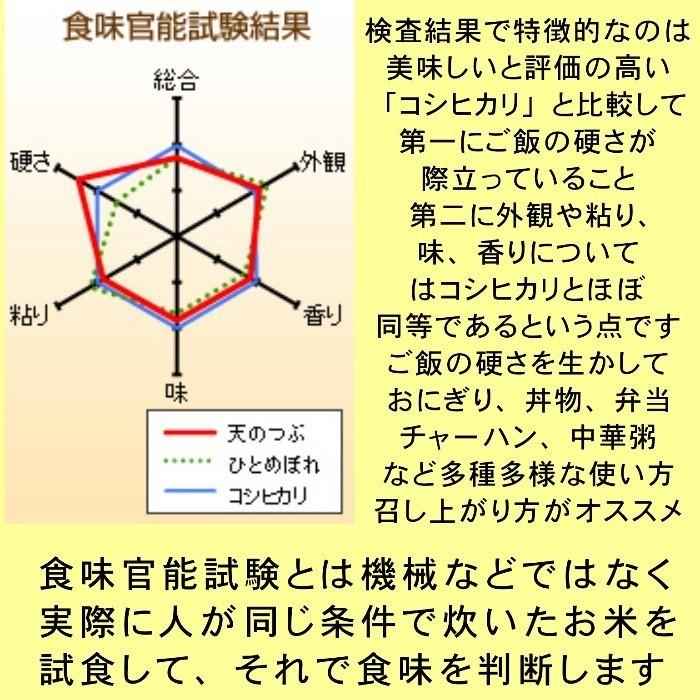 米 お試し米 800g 白米 ５年産新米  会津米 天のつぶ 一等米使用   国内送料無料（お届け日時指定不可）ふくしまプライド。体感キャンペーン（お米）コメ