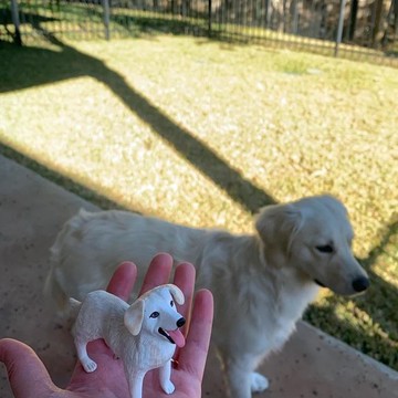 【客製化3D寵物紀念公仔】訂製手作似顏繪肖像狗狗貓咪毛小孩娃娃