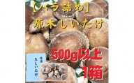 原木しいたけ　500g以上／1箱