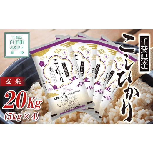 ふるさと納税 千葉県 白子町 令和5年産  千葉県産コシヒカリ（玄米）20kg(5kg×4) お米 玄米 千葉県産 白子町 コシヒカリ 米 こめ 送料無料 SHB028