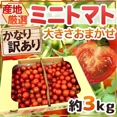 緊急スポットミニトマト かなり訳あり 約3kg 大きさおまかせ プチトマト 2週間以内の発送