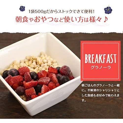 ブルーベリー 500g 10袋 フルーツ VeryBerry 冷凍 ノースイ 冷凍フルーツ 業務用 大容量 送料無料