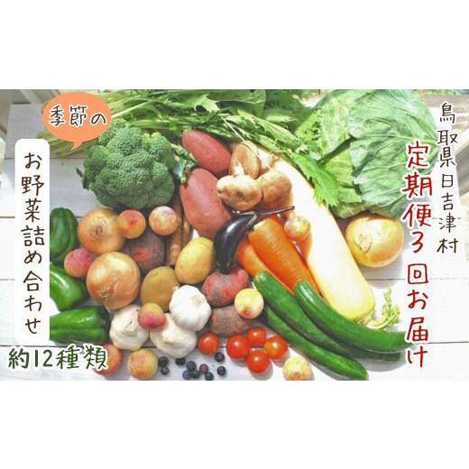 ふるさと納税 鳥取県 日吉津村 TA01：ふるさと野菜詰め合わせ（３回お届け）