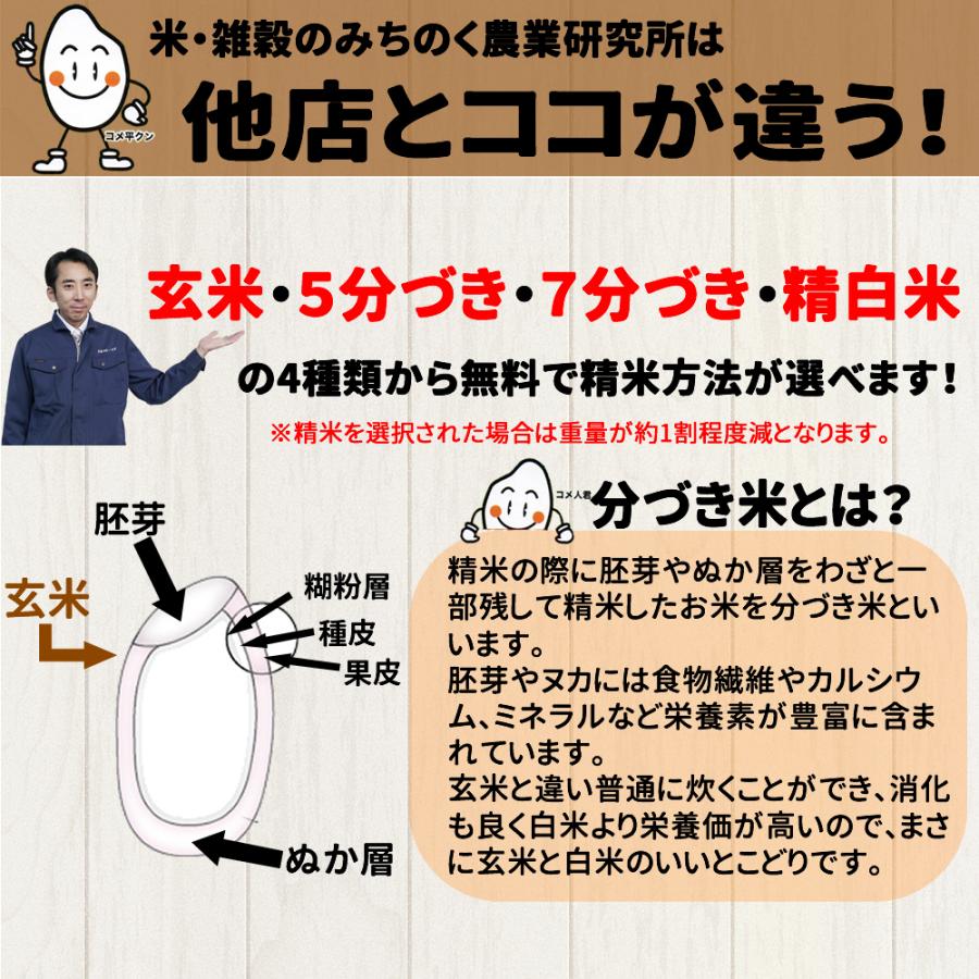 お米 20kg 宮城県産 ひとめぼれ 令和5年産 送料無料 米処 玄米 5分 7分 精白米 白米 ヒトメボレ お米 ごはん ご飯 精米 産地直送  食品 美味しい