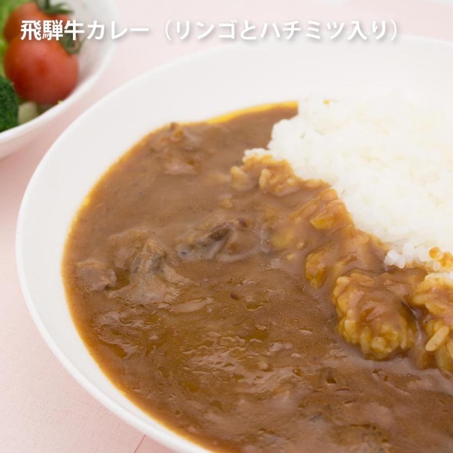 飛騨牛カレー３種セット　ギフト　化粧箱　12 1以降発送