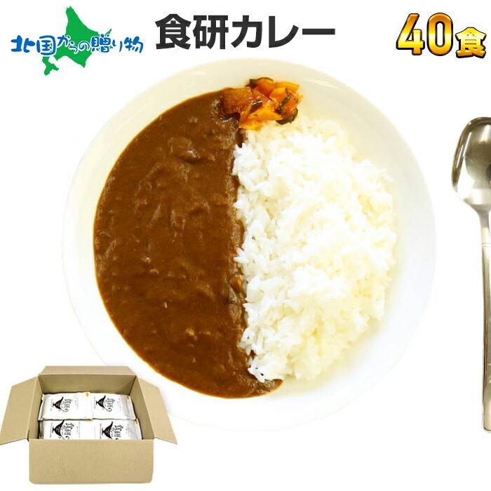 カレー レトルト 業務用 食研カレー 40食セット お取り寄せ グルメ ギフト プレゼント 食べ物 まとめ買い