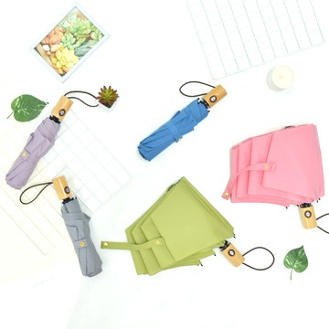 【2mm】清新淡雅通勤自動開收傘 (5色任選)