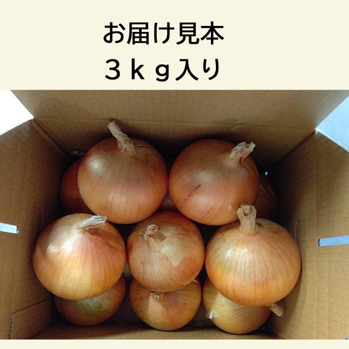 玉ねぎ 淡路島 ３ｋｇ 洲錦 （しまにしき） たまねぎ タマネギ オニオン onion 淡路島産 