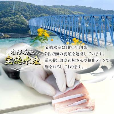 ふるさと納税 長島町 宝徳水産の鰤づくしBセット