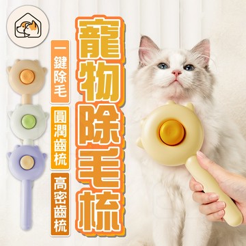 【快速清毛👍】寵物除蚤梳 寵物除毛梳 貓狗除蚤梳 貓梳子 跳蚤梳 寵物梳子 不鏽鋼針梳 寵物梳 寵物梳子 狗梳子貓咪梳子
