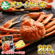 1719. ボイルズワイガニ姿 800g 食べ方ガイド・専用ハサミ付 カニ 蟹 かに カニ姿 蟹姿 かに姿 姿 ボイル 送料無料 北海道 弟子屈町