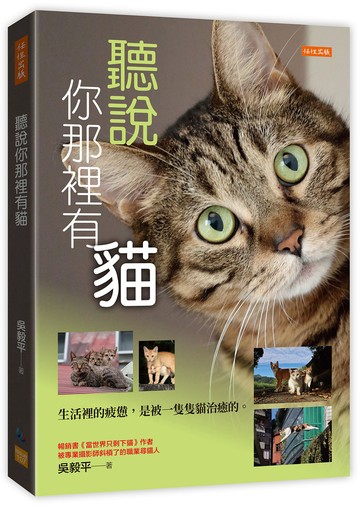 聽說你那裡有貓：生活裡的疲憊，是被一隻隻貓治癒的。