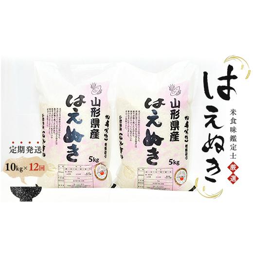 ふるさと納税 山形県 新庄市 米食味鑑定士厳選 新庄産「はえぬき」（精米）各10kg 米 お米 おこめ 山形県 新庄市 F3S-0984