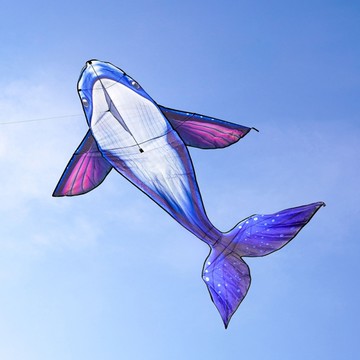 深海座頭鯨(大翅鯨)造型彩色風箏(130*190)(全配/附150米輪盤線)【888便利購】