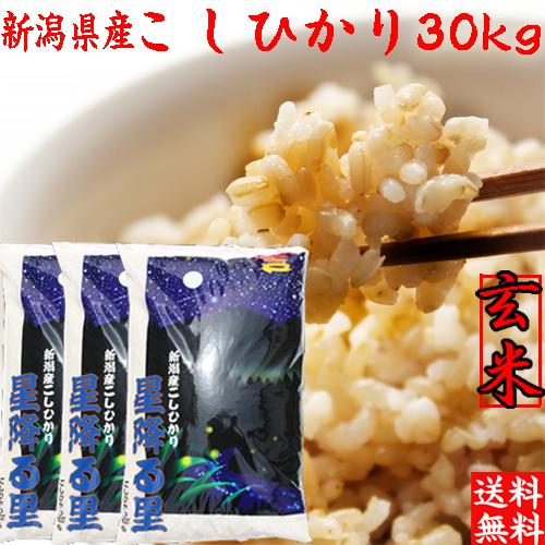 新米 玄米 30kg 令和5年 新潟産 コシヒカリ 玄米 30kg 送料無料 米 玄米 30キロ 新潟県産 コシヒカリ玄米３０キロ 10kg×3袋 米 農家直送