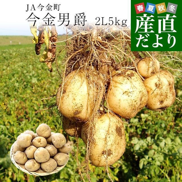 北海道産 JA今金町 じゃがいも 今金男爵 2Lサイズ 約5キロ（22玉前後） 送料無料 馬鈴薯 ジャガイモ 芋 市場スポット