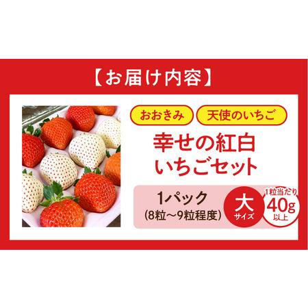 ふるさと納税 宮崎県産 イチゴ 幸せの紅白いちごセット おおきみ天使のいちご 大サイズ1パック(8粒〜9粒程度) いちご 苺 果物 期間・数量限.. 宮崎県宮崎市