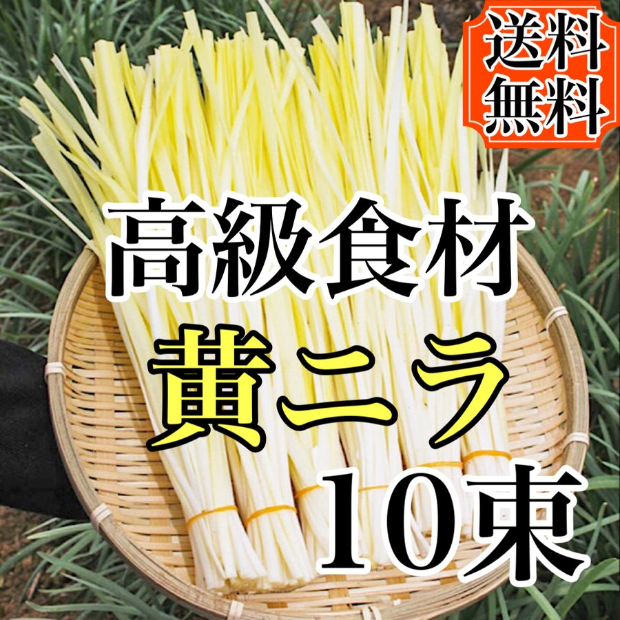 超高級食材!!岡山特産 黄ニラ10束入り 送料無料 通販 LINEポイント最大0.5%GET | LINEショッピング