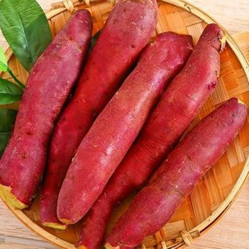 【綠之醇】特A級紅皮栗子地瓜12包(真空夾鏈袋300g±10%/包/栗香地瓜)