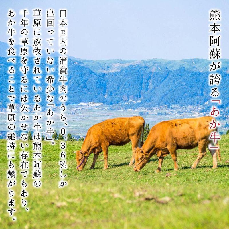 熊本県産 赤牛ロースステーキ 300g (150g×2枚)和牛 褐毛和牛 国産 熊本県産 肉 赤身 牛肉 冷凍 ギフト 赤牛 父の日 敬老