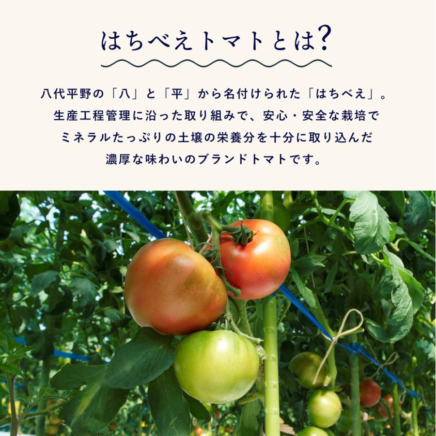 熊本県産はちべえトマトを使ったハッシュドビーフ 簡単 時短 洋食 ana アナ機内食 冷凍 贅沢グルメ ギフト惣菜 惣菜セット
