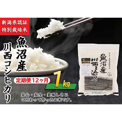 ふるさと納税 十日町市 新潟県認証米　魚沼産川西こしひかり1kg　全12回