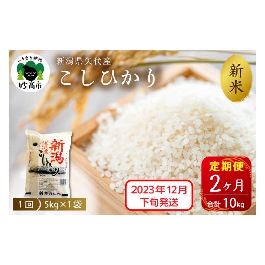 ふるさと納税 新潟県 妙高市 新潟県矢代産コシヒカリ5kg×2回（計10kg）