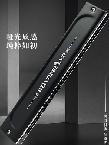 正品德國進口音簧口琴24孔復音12調入門高端成人專業演奏級送禮